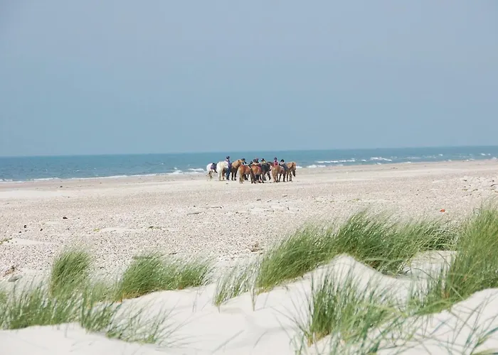 Port Arthursvej Xi Ferienhaus *